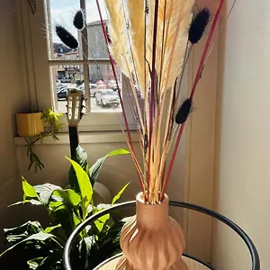  Apartamento Anastasia