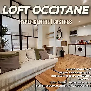 Loft Occitane Hyper Centre Castres Castres (Tarn)